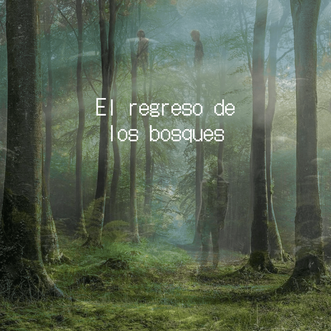 Post image with title